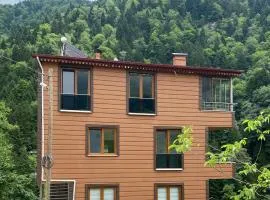 Fairytale Nature House - Uzungöl