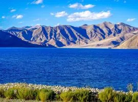 Astrostays at Pangong