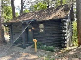 Loblolly Pines Adventure Log Cabin