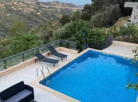 Spacieuse Villa Niçoise au calme avec piscine