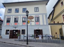 Hotel Salamander - Garni，位于班斯卡 - 什佳夫尼察的酒店