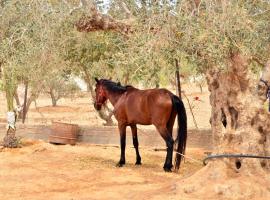 Ranch Tanit Djerba，位于米多恩的酒店