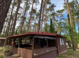 Domek Wakacyjny Maciuś 48