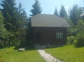 Apartmani Gnezdo