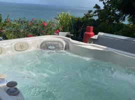 Location de vacances avec vue mer exceptionnelle，位于圣马丁岛的带按摩浴缸的酒店