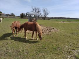 Insolite! Plusieurs Gîtes dans Ferme Equestre，位于Rehaincourt的酒店