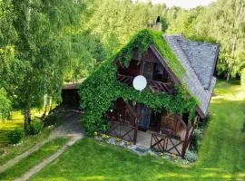 Brzozowy Chillout