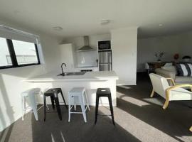 Spacious Apartment，位于基督城的酒店