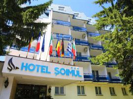 Hotel Soimul，位于波亚纳布拉索夫的酒店