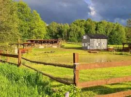 Domek z Sauną i balią jakuzii w głuszy
