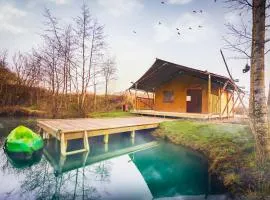Arcadia Safari Tent in private 5 acre field