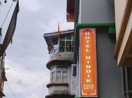 Hotel Nindik，位于甘托克的酒店
