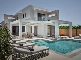 Anthis Luxury Villa