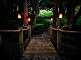 Emlyn's Coppice - Luxury Woodland Glamping，位于霍利韦尔的山林小屋