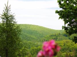 Lili's Lovely Log Home in the Forest，位于比克克森特凯赖斯特的乡村别墅