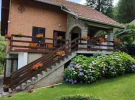 Apartman Jovanovic-Rudnik