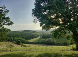 ferme de castel pouzouilh，位于Le Fossat的酒店