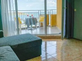 Apartament Midia