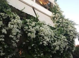 Captain's Rooms，位于爱琴娜岛的宠物友好酒店