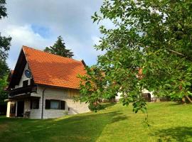 Kuca za odmor Zlatibor，位于兹拉蒂博尔的酒店