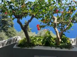 Casa Reverie - Amalfi Coast