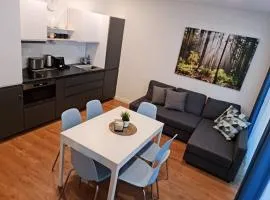 Apartamentai Gintaro takas