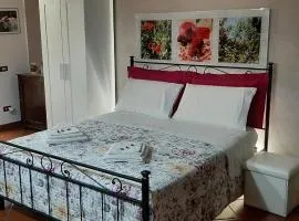 拉科利纳德尔迈洛格拉诺旅馆