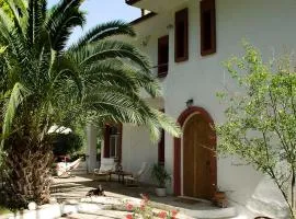 Spacious Villa close to an amazing Sithonia beach