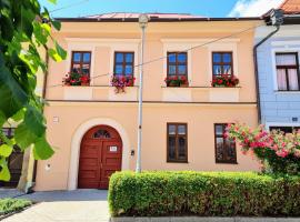 Apartment in a historical house in the center of Levoča，位于莱沃恰的低价酒店