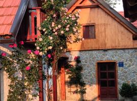 Apartman Latin 2，位于Plaški的酒店