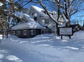 Lodge Blue Mount Hakuba，位于白马村的山林小屋