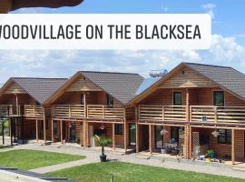 Woodvillage on the Blacksea，位于科斯蒂内什蒂的别墅