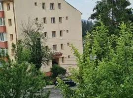 Apartament 3 camere