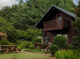 Viewpoint Cabin 7，位于哈内茨堡的酒店