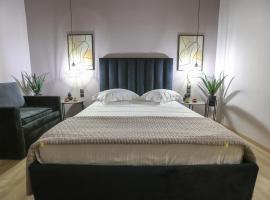 Eleni Zirganou Studios & Apartments，位于米利纳的酒店