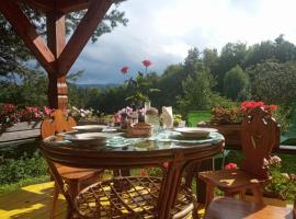 Agroturystyka Millerówka，位于Kamionka Mała的酒店