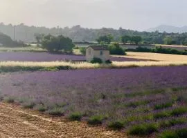 Location de vacances Rians haut Var