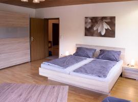 Schöne Ferienwohnung mit großer Terrasse.，位于Schmidmühlen的酒店