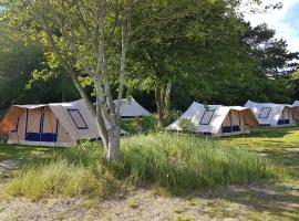 Ameland Tentenverhuur，位于内斯的露营地