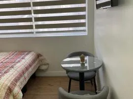 TinyApartments - estudio pleno centro Concepción