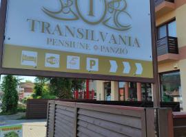 Pensiunea Transilvania，位于奥多尔黑塞库耶斯克的酒店