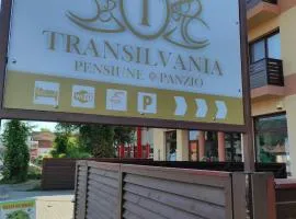 Pensiunea Transilvania