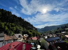 Dream House Brasov，位于布拉索夫的酒店