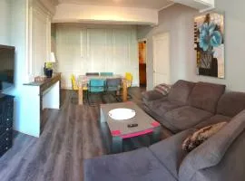 Magnifique appartement en centre ville de château chinon ville