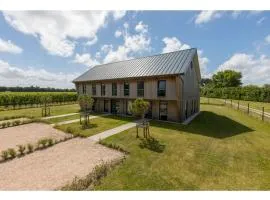 Holiday home in Vrouwenpolder near beach