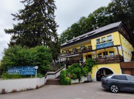 Austria Traveller Hotel Lenzing，位于Lenzing的酒店