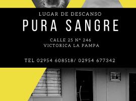 PURA SANGRE，位于Victorica的酒店