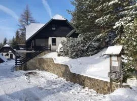 Chalet Anita Rogla