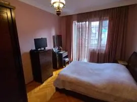 Apartment Rustaveli 162