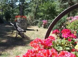 Affittacamere La Casa di Alma